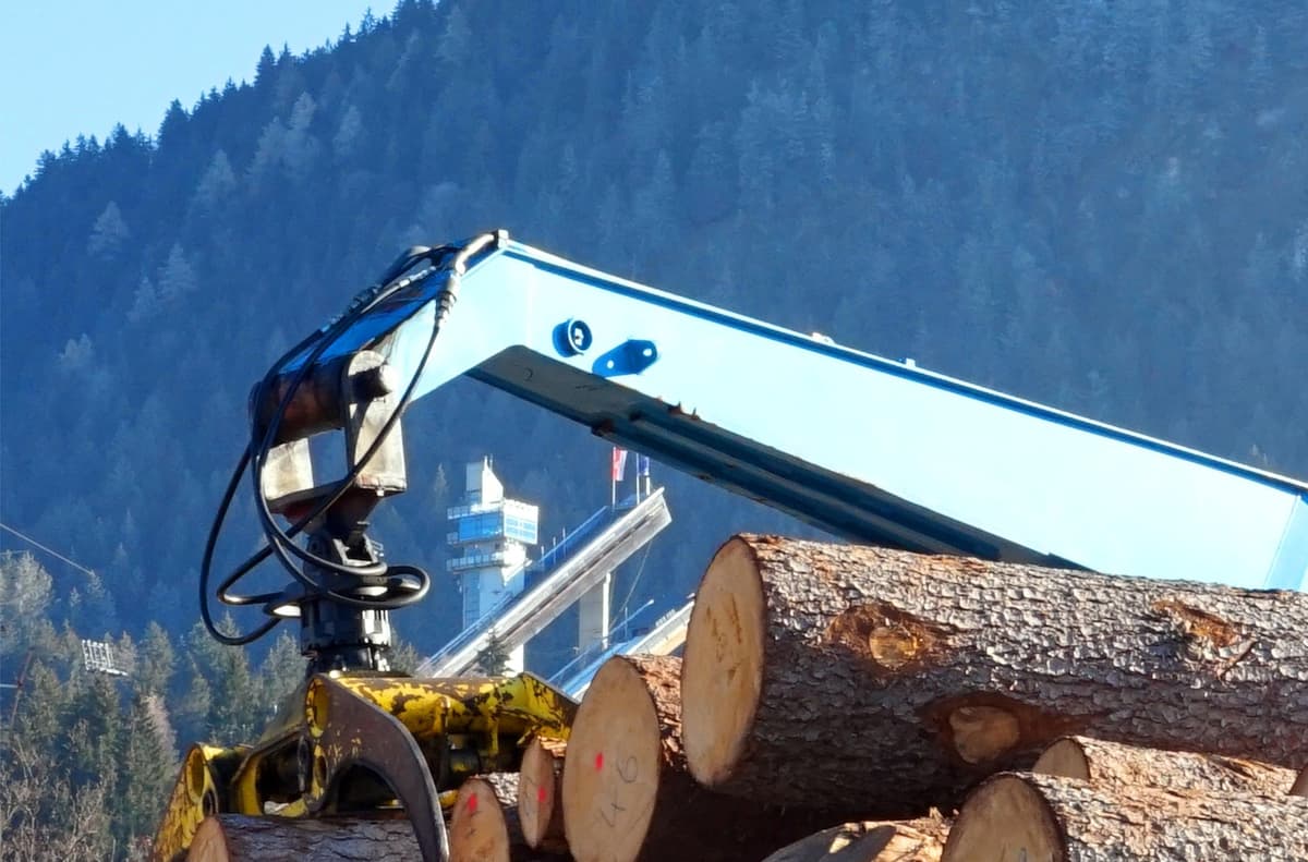 Wood seasoning in Jodhpur's arid climate